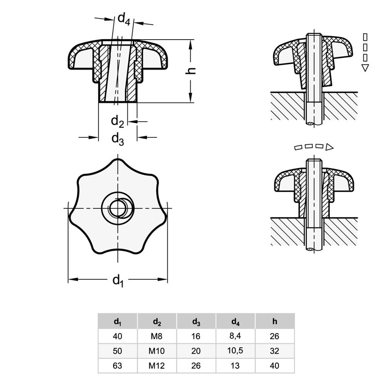 Ganter Normelemente Quick Release Handle | Quick Release Nut |