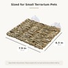 MHLLGN Reptile Hammock with 2 Suction Cups, Handwoven Natural Grass