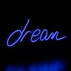 LED Dream Neon Lighted Wall Sign - 17" - Blue