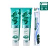 Renewed Breeze Mint Pro 180g x 2 + Double Bristle