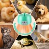 Gulfmew 1 Pack Chicken Coop Heater with Remote Control, Timing