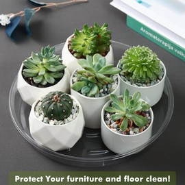 Plant Saucer 30 Pack Plant Trays for Pots 12 Inch Plastic Plant Saucers for Outdoors and Indoors Clear Drip Trays for Potted Plants Flower Pot Plates to Catch Water Plant Drainage Dishes No Holes