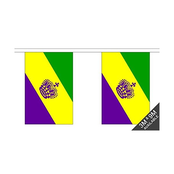 Mardi Gras Bunting (30 flags) 9m