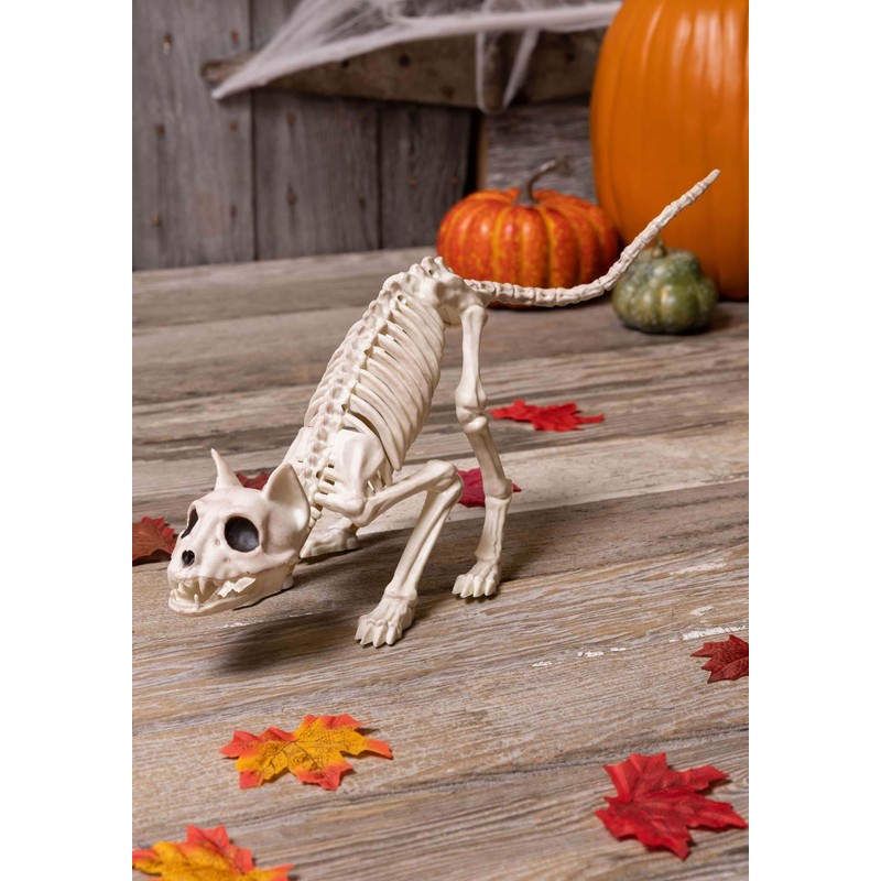 Crazy Bonez Skeleton Cat - Lil' Kitty Bonez