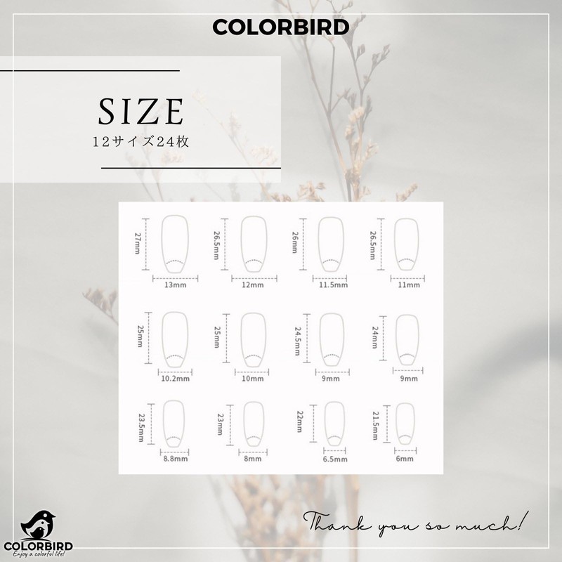 COLORBIRD Nail Tips, Long, 24 Pieces, White, Nail Tips, Short