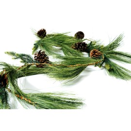 CraftMore Long Needle Pine Garland 6'