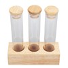 Coffee Bean Jars Canisters Coffee Storage Containers with Solid Wood