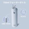 BOTTLE BOTTLE Water Bottle, 0.7 L; Large Capacity, Includes Straw,