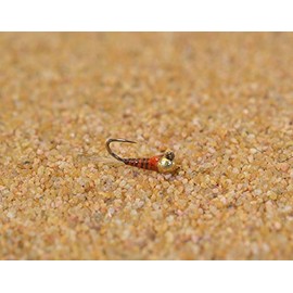 Region Fishing Tungsten Quill Perdigon Jig Head Fly - Euro Nymph Tied on Hanak Hook - 6ct Packs (Hook #14)