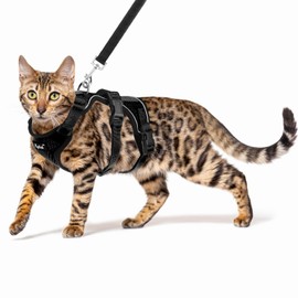 PUPTECK Juego De Arnés Y Correa para Gatos A Prueba De Escape para Caminar, Chaleco Mash Transpirable Arnés Ajustable para Gatos Cachorros Animales...