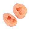 Silicone Ear Model Human Artificial Ear Display for Hearing Aids