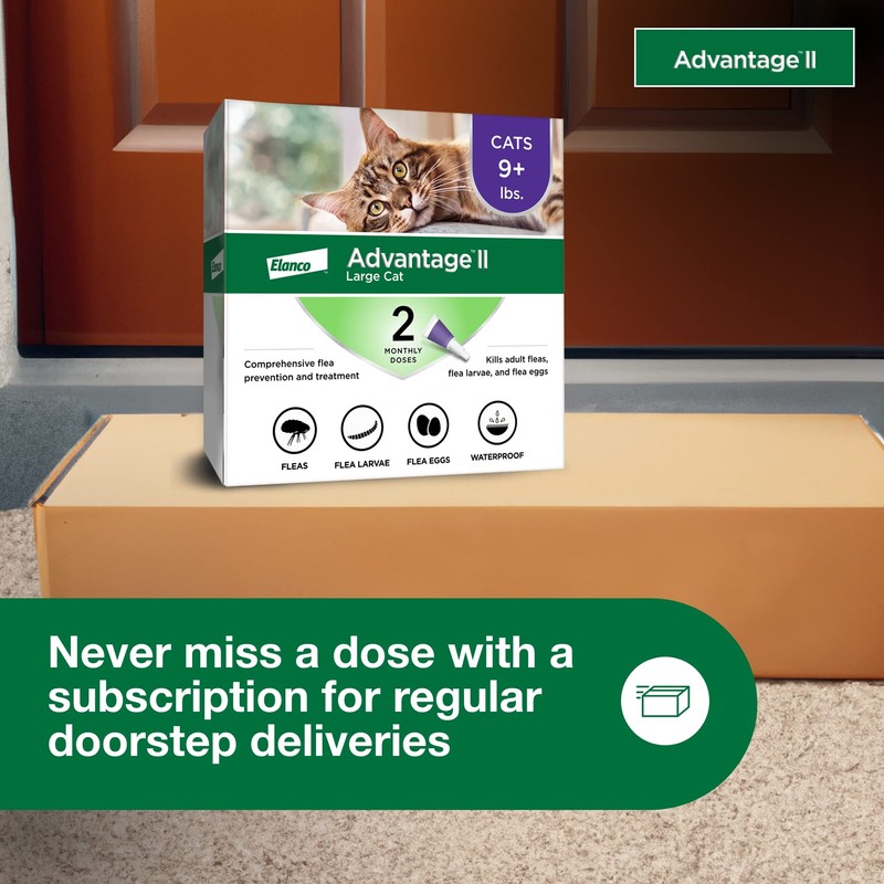 Advantage II Large Cat Vet-Recommended Flea Treatment & Prevention |