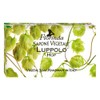 Florinda Spring Flowers Hop Vegetal Soap Bar 100 G 3.5
