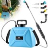 2 Gallon Electric Pump Sprayer in Lawn and Garden, Backpack