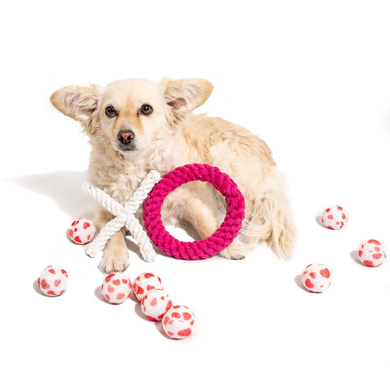Midlee XO Valentine's Rope Dog Toy