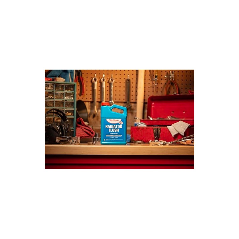 BlueDevil Products 00204 Radiator Flush - 1 Quart