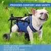 Dog Wheelchair for Back Legs, Small Dog Wheelchair Carts with