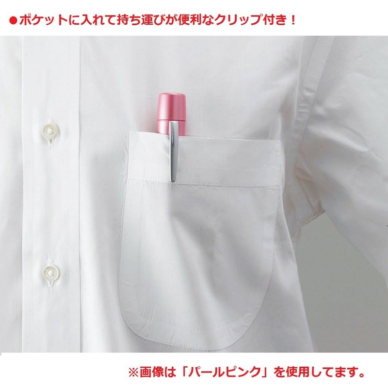 Shachihata Pair Name Mail Order Hanko Stamp