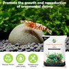 Hygger CO2 Shrimp Soil Water Grass Mud for Aquarium Fish