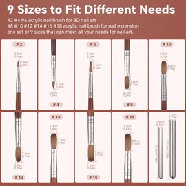 KADS Kolinsky Nail Art Brush Kolinsky Red Wood Nail Brush for Acrylic Powder Acrylic Liquid Kolinsky Sable Acrylic Brush with Removable Handle Size 2/4/6/8/10/12/14/16/18