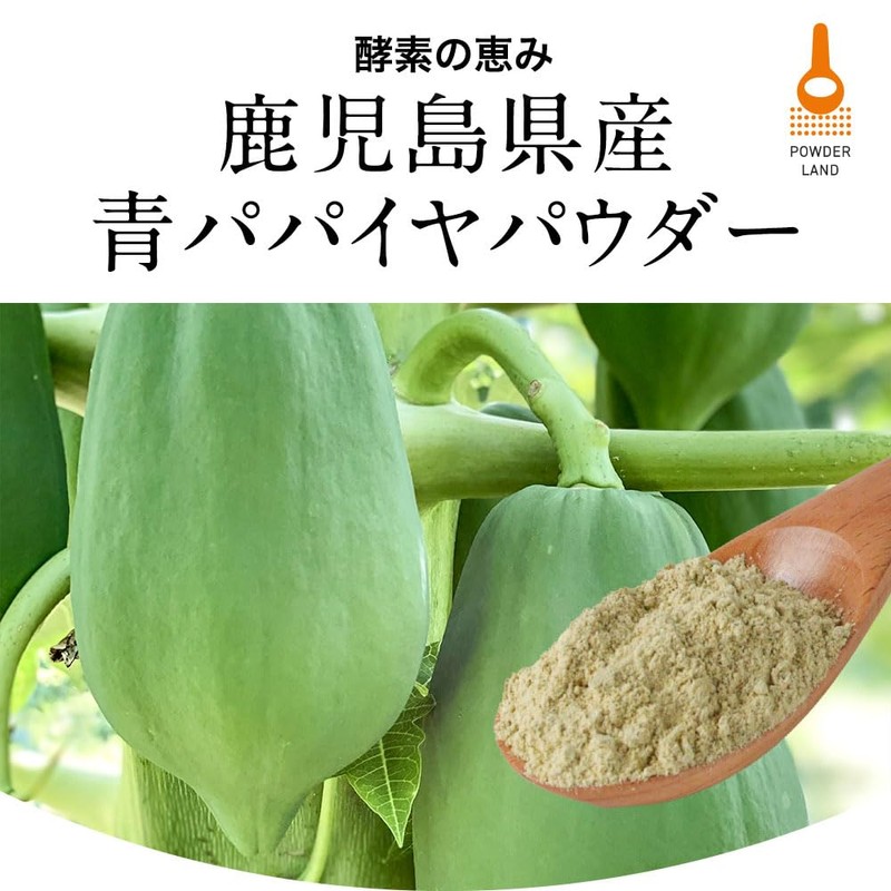 オーガランド 酵素の恵み（60g）青パパイヤ酵素 パパイヤ酵素 青パパイヤ パウダー鹿児島産 無農薬 無添加 粉末
