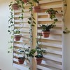 Plant Holder Ring 8 Inch Wall Mounted, 6 Pack Flower