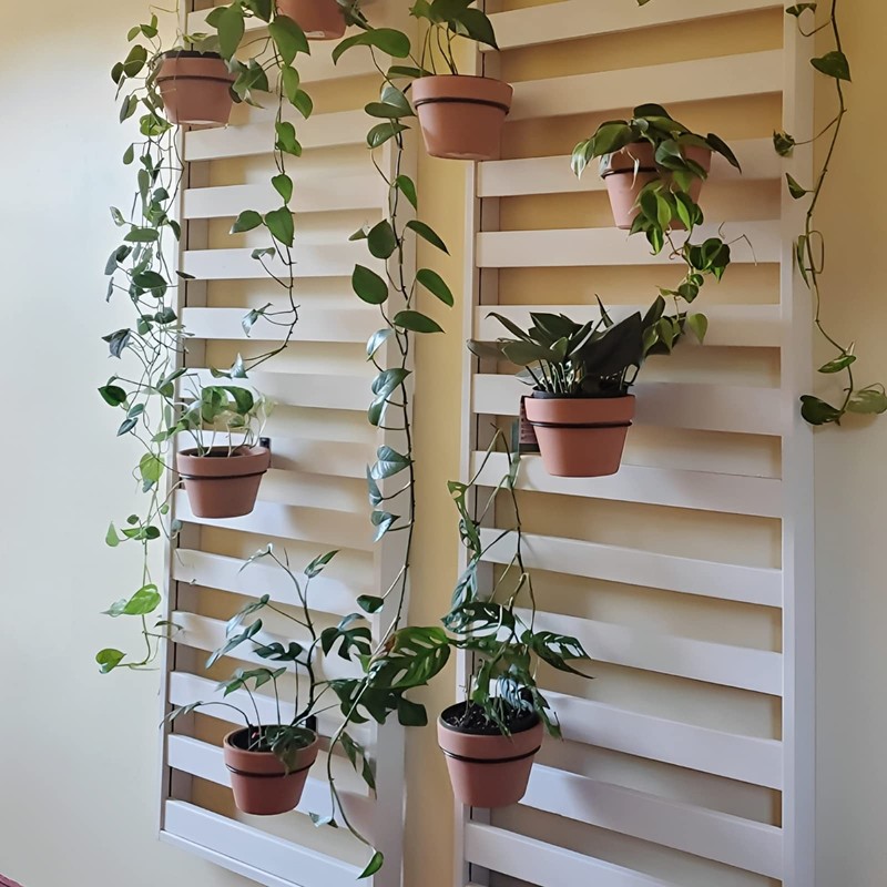Plant Holder Ring 8 Inch Wall Mounted, 6 Pack Flower