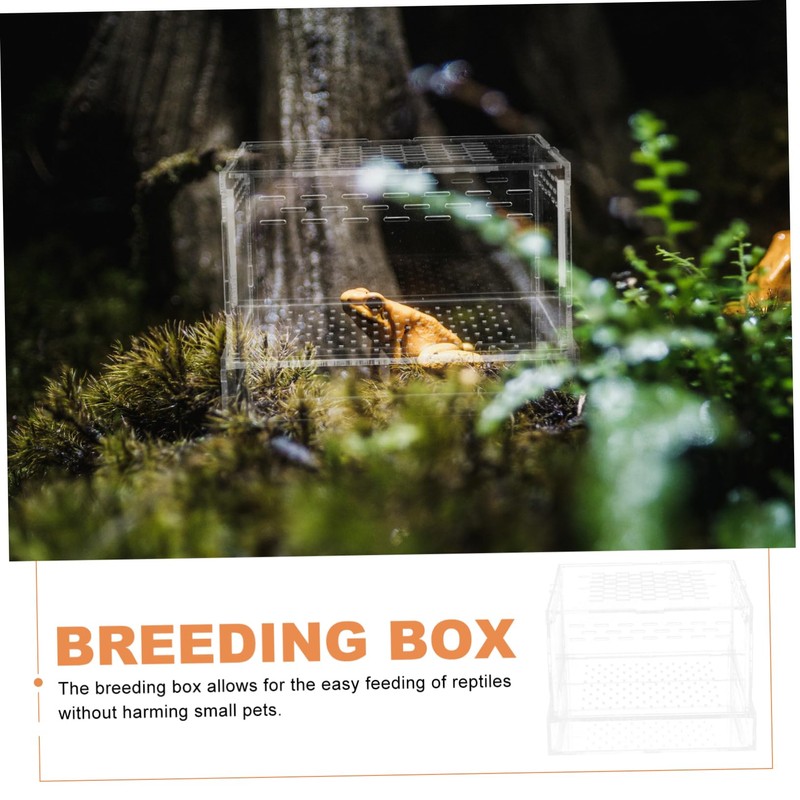 Hohopeti Detail Tarantula Cage Sturdy Jumping Spider Enclosure Kit for