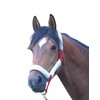 AMKA Headcollar Protector 4-Piece Set Nose Fleece Halter Set Neck