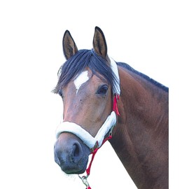 AMKA Headcollar Protector 4-Piece Set Nose Fleece Halter Set Neck Protector 035/47