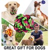 Large Dog Chew Toys for Aggressive Chewers, 6 Pack Almost