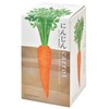 Seishin Pottery Home Root Vegetable Cultivation Set, Carrots