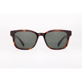 DAIWA DN-8123 Polarized Glass, Green