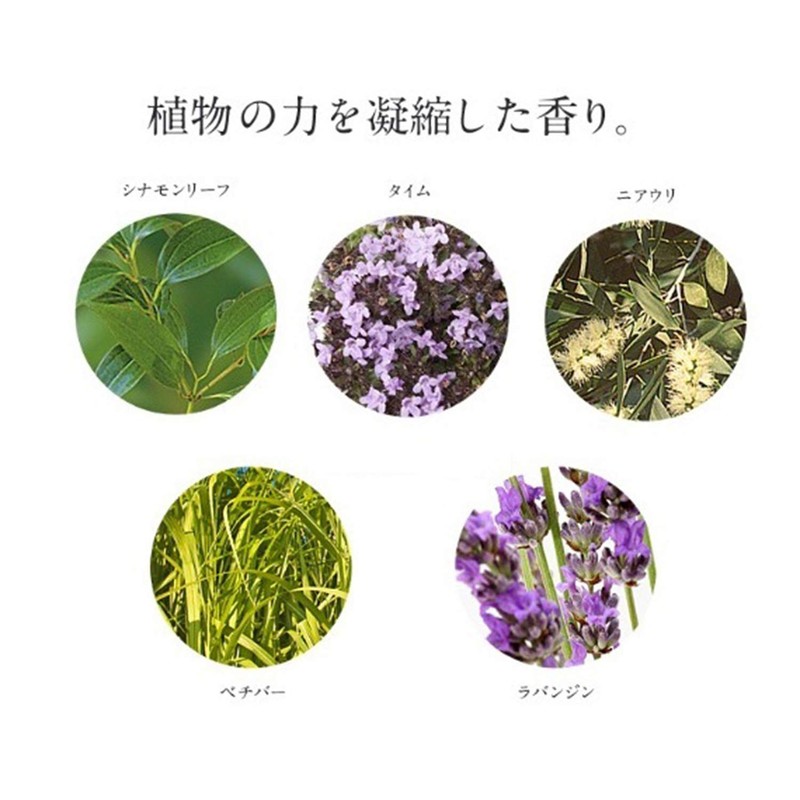 NEAL'S YARD REMEDIES Herbal Hand Freshener Refill, 7.8 fl oz