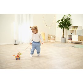 Eichhorn EH Pull Along Animal Duck