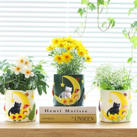GUGUGO - Macetas coloridas para gatos de luna, lindas macetas únicas para suculentas con drenaje, macetas de flores de hongos pequeños arcoíris para plantas de interior, divertida decoración ecléctica