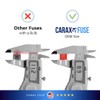 CARAX Glow Fuse – Premium Fuse Mini Blade – 30A