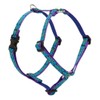 LupinePet Originals 1/2" Rain Song 12-20" Adjustable Roman Dog Harness