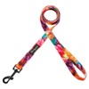 Welyeme Dog Collar and Leash Set for XSmall Small Medium