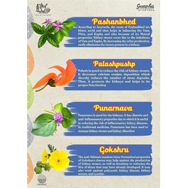 Generic Senta Ayurved Kidney Wellnes | Kidney & Bladder Cleanse Detox | Urinary Tract Infection (UTI) | with Herbal Extracts of Pashanbhed, Palash Pushp, Punarnava, Gokhru | 60 Tablets |