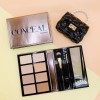 Profusion Estuche Bronzer Iluminador Y Brochas Profecional Conceal