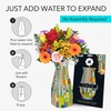 MODGY Expandable Flower Vase, Plastic Decorative Modern Foldable Printed Vases