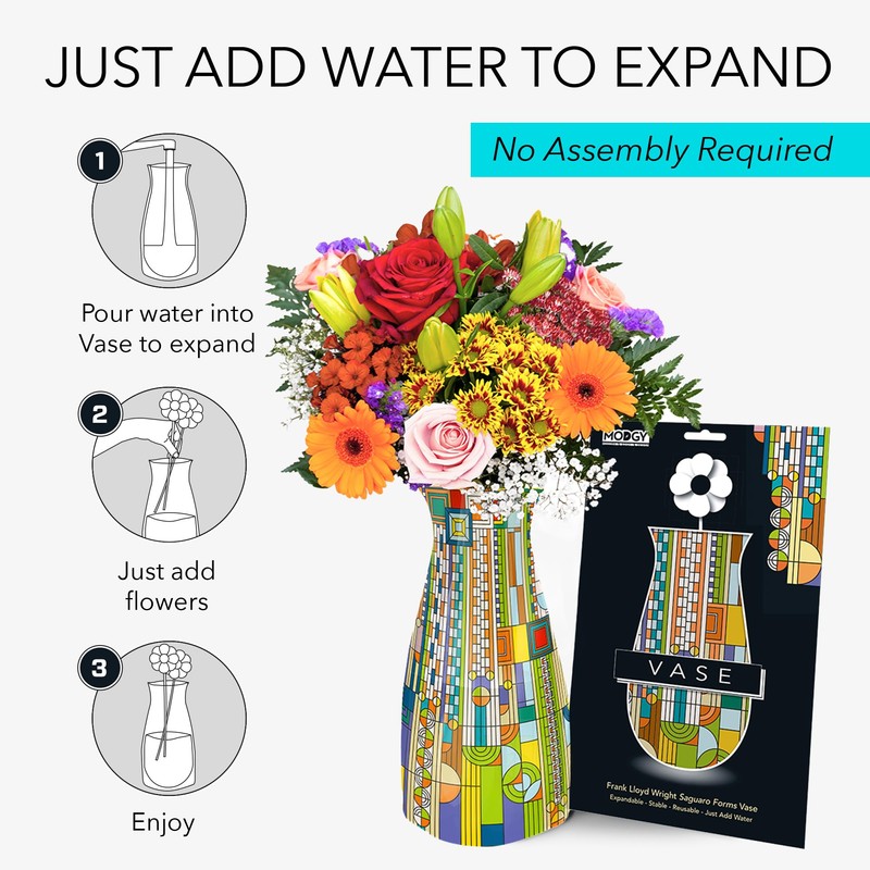 MODGY Expandable Flower Vase, Plastic Decorative Modern Foldable Printed Vases
