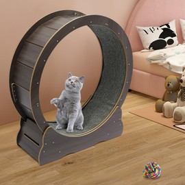 Cat Running Wheel, Cat Exercise Wheel Treadmill with Carpeted Runway,Cat Exercise Wheel for Indoor Cats(M,Brown)