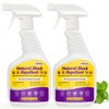 Ant Killer & Bug Spray - 16 oz-Natural Indoor &