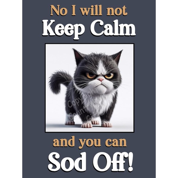 Generic Black and White Cat Kitten funny flexible fridge magnet