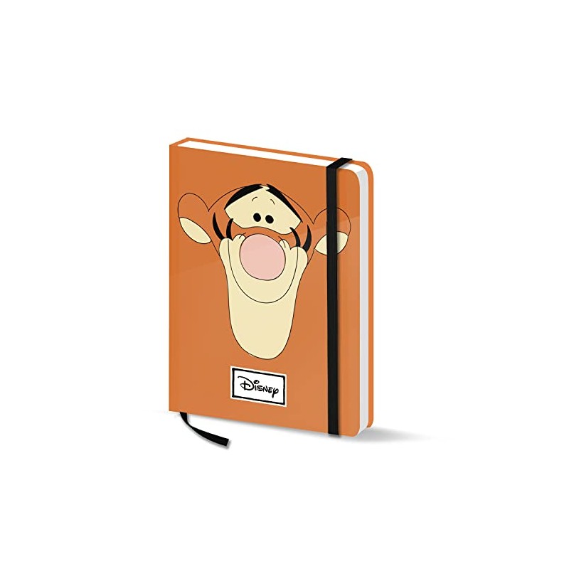 Winnie the Pooh Tiger Face Gift Box with Diary and