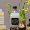 Davines Oai Shampoo 280ml / 다비네스 오아이 샴푸 280ml
