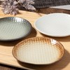 Marui Pottery MR-3-4190 Shigaraki Ware Hechimon Plate, Diameter Approximately 6.3