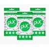 PUR Xylitol Chewing Gum SPEARMINT (55 Pieces, 3 Pack) Sugarless